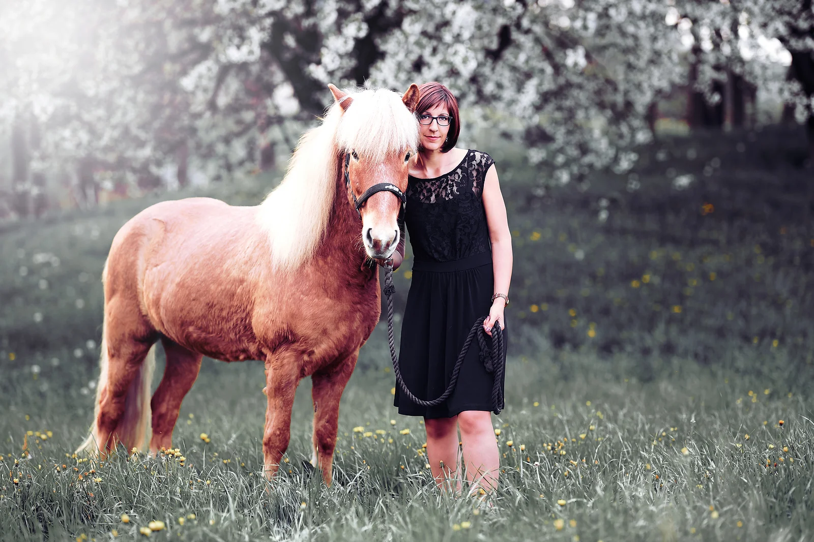 Pferde Fotoshooting Luzern Zentralschwei